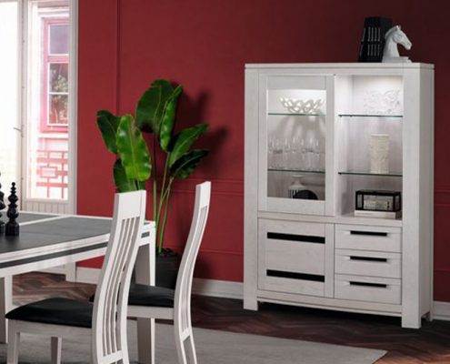 vitrine_ines